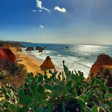 דירה 31 Mar A Vista Da Rocha פורטימאו